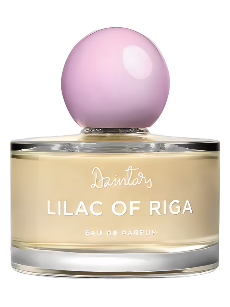Dzintars Lilac of Riga (Рижская Сирень, 2022)