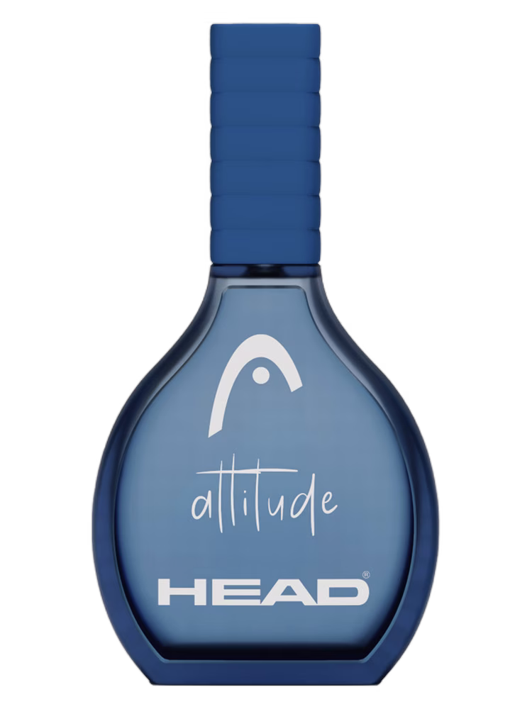 Head Attitude