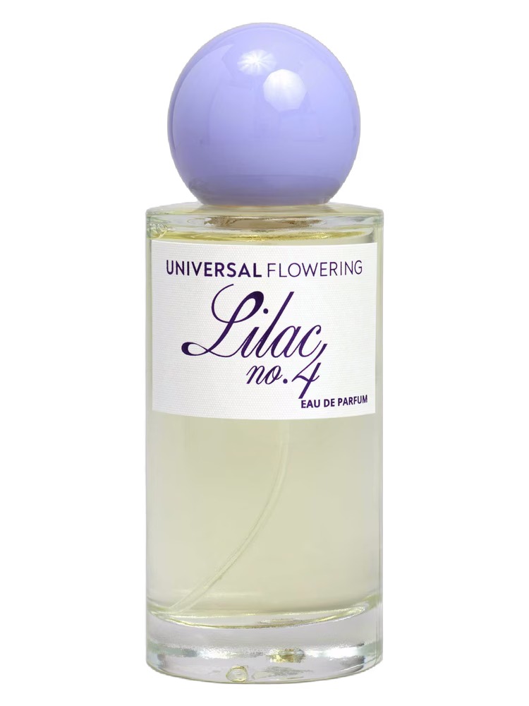 Universal Flowering Lilac No.4