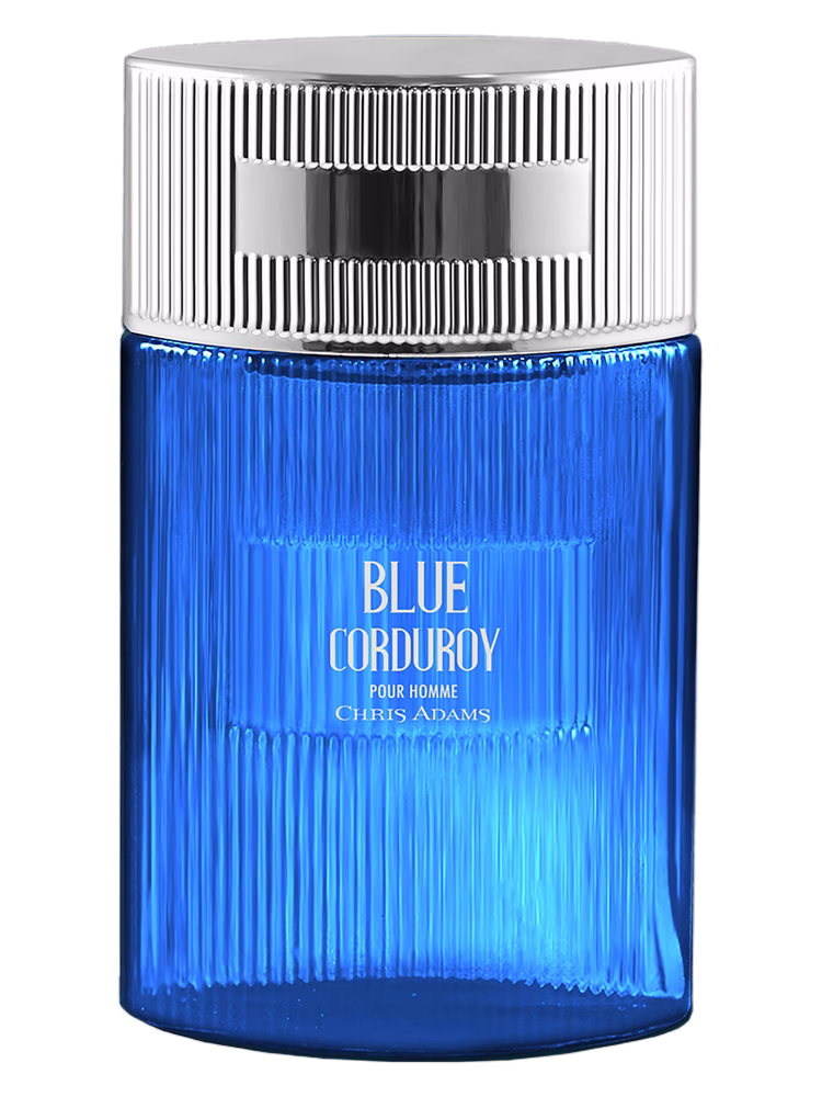 Chris Adams Blue Corduroy Pour Homme