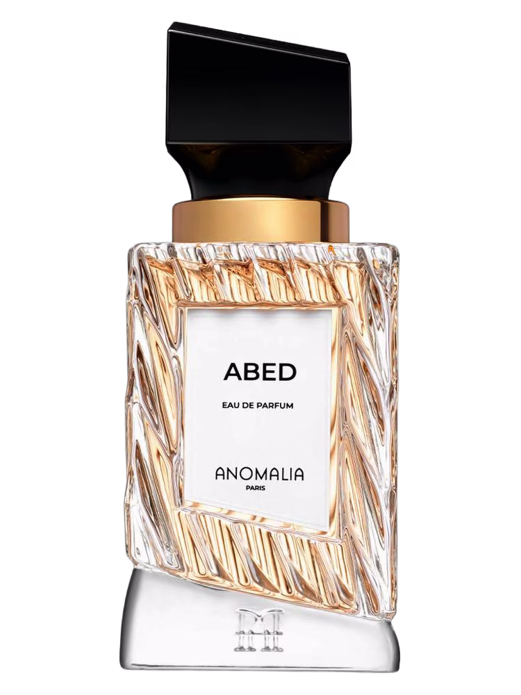 Anomalia Paris Abed