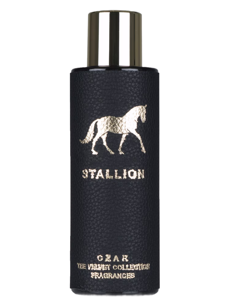 CZAR Stallion X Aslan Gülçiçek