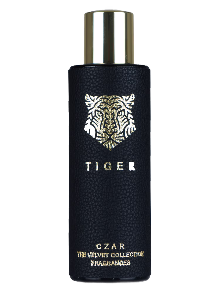CZAR Tiger X Aslan Gülçiçek