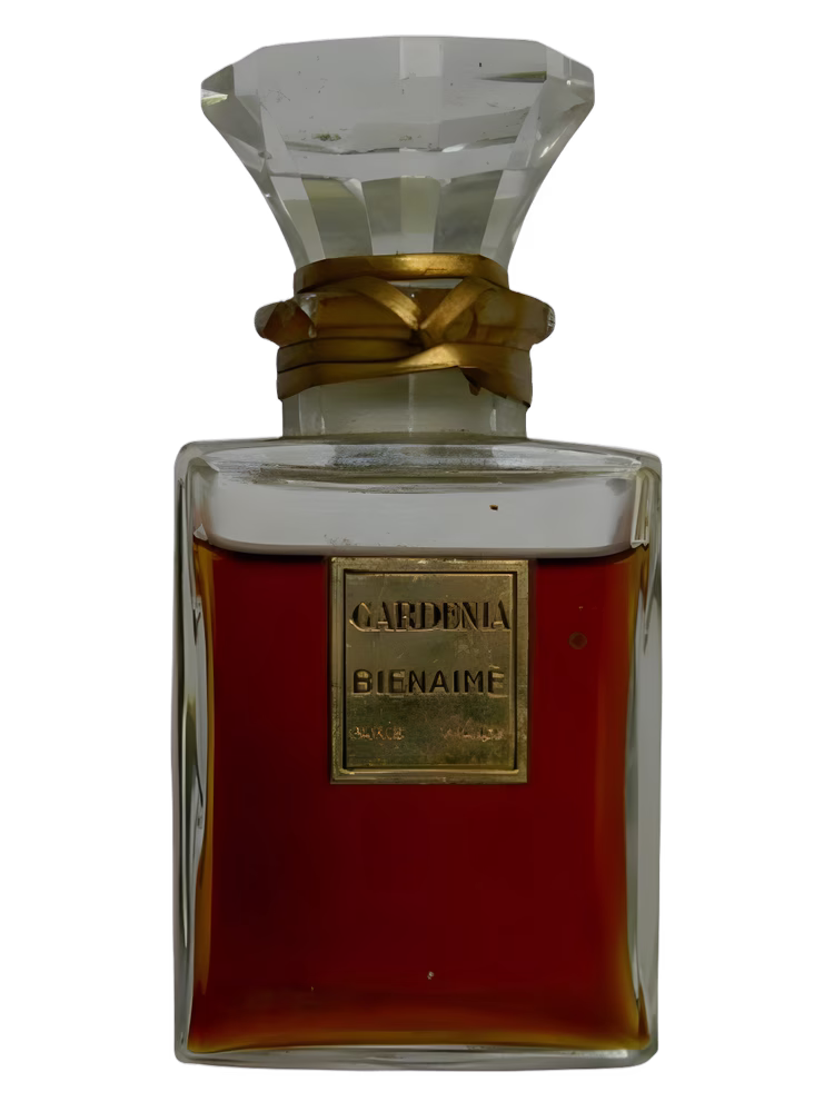 Bienaimé Gardénia