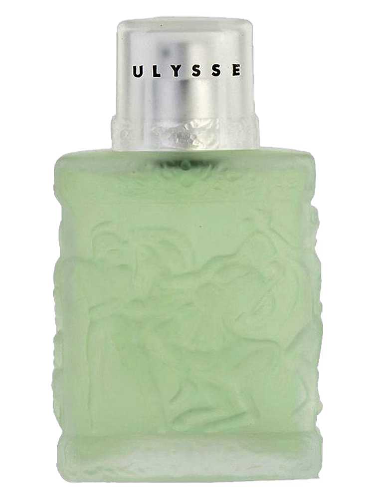 Vicky Tiel Ulysse