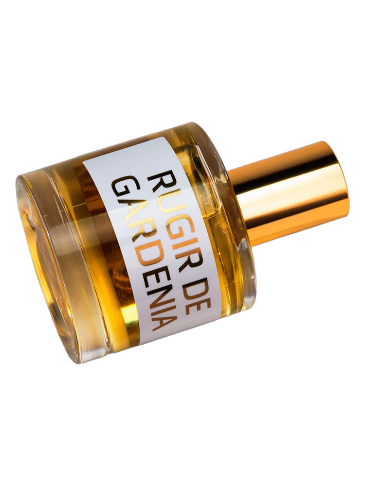 JD Jeffrey Dame JD Rugir de Gardenia