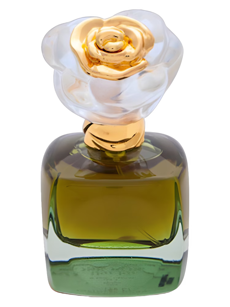 Rose Rossa Infinite Care
