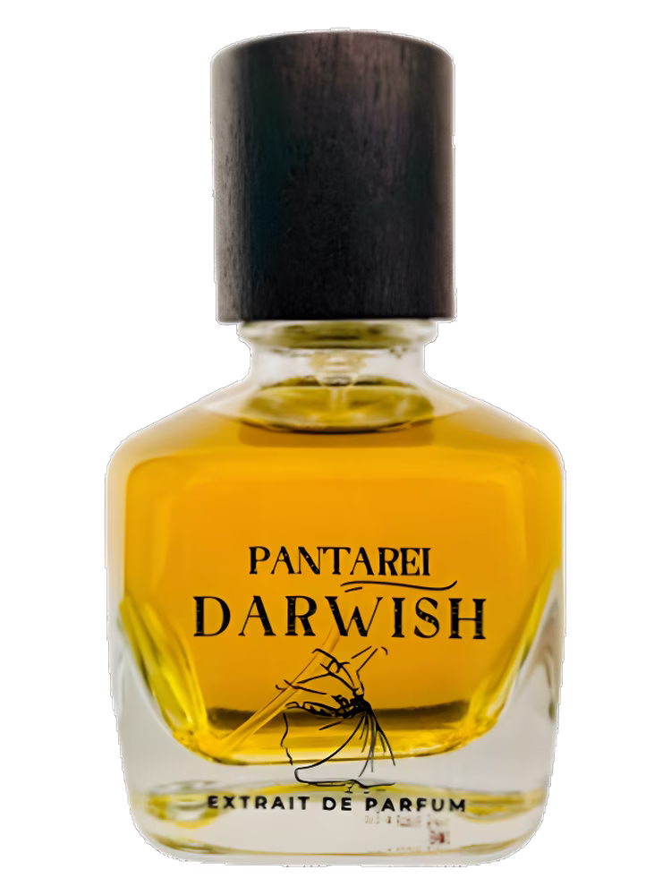 PantaRei PantaRei Darwish