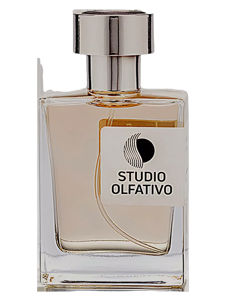 Studio Olfativo Andy