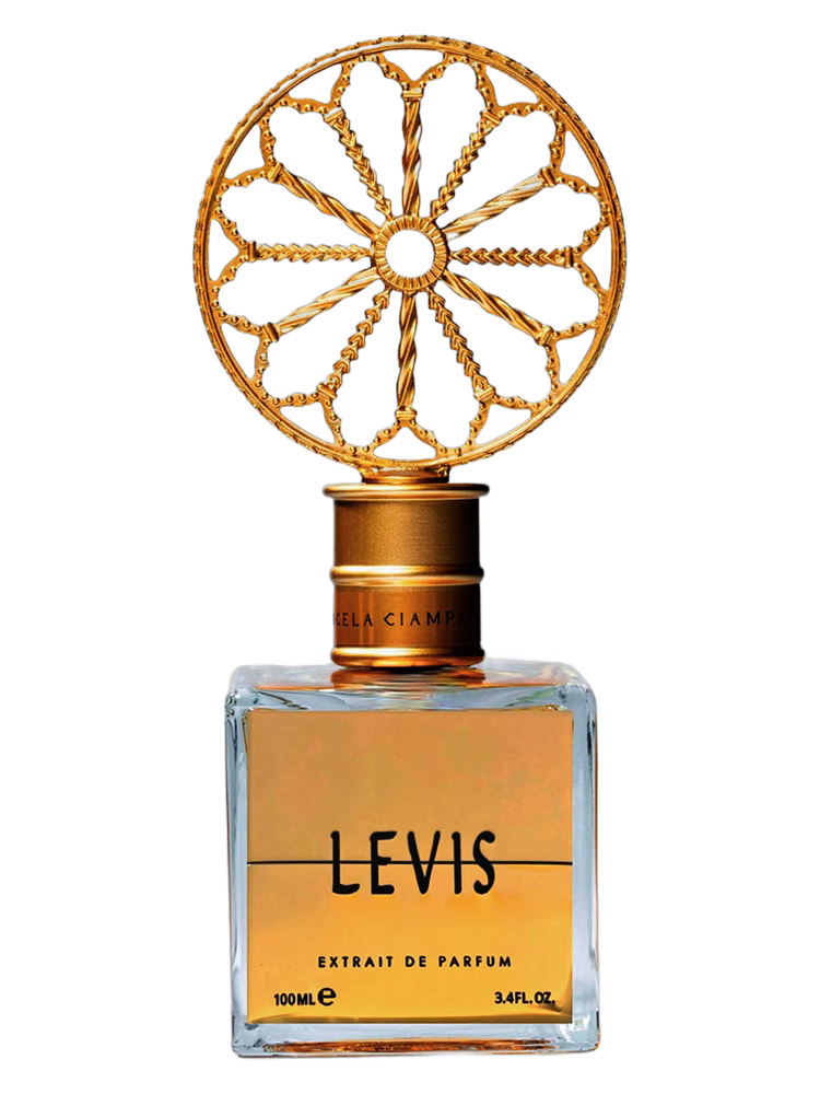Angela Ciampagna Levis