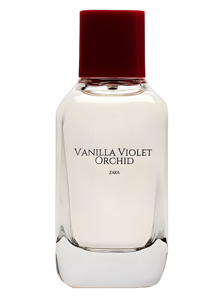 Zara Vanilla Violet Orchid