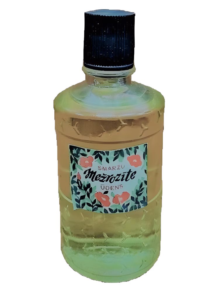 Dzintars Mežrozīte (Шиповник)