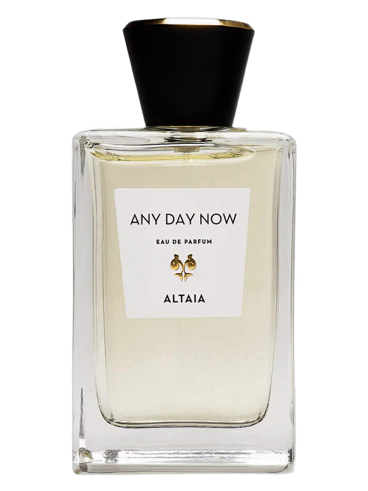 ALTAIA Any Day Now