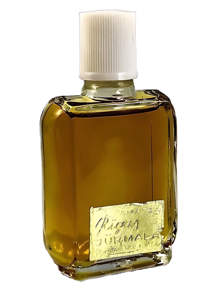 Dzintars Rīgas Jūrmala (Рижское Взморье)