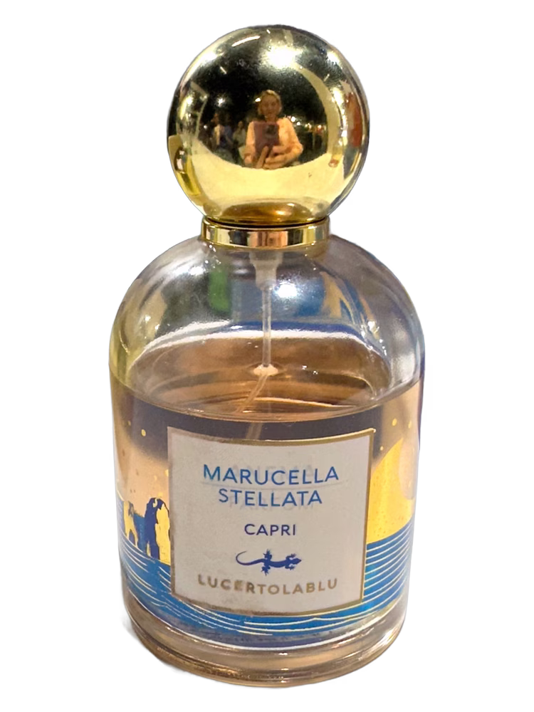 Lucertolablu Marucella Stellata