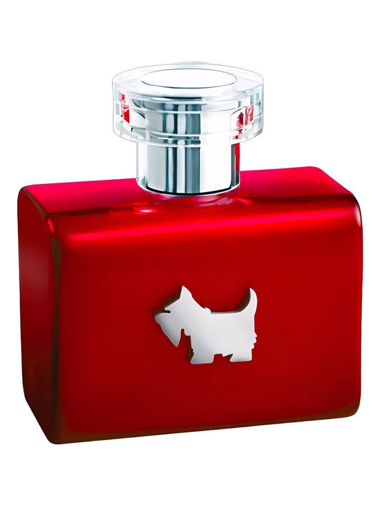 Ferrioni Terrier Red