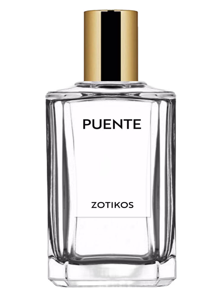 House of Puente Zotikos
