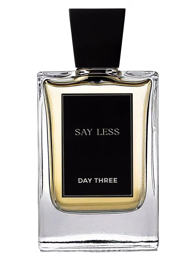 Day Three Say Less