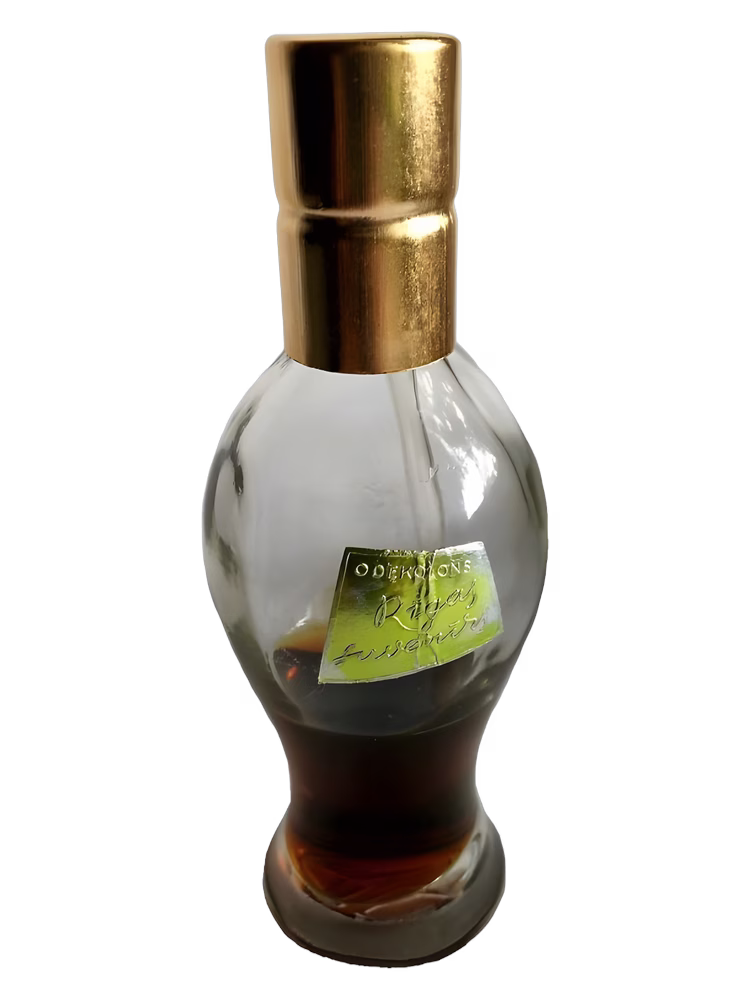 Dzintars Rīgas suvenīrs - Рижский сувенир