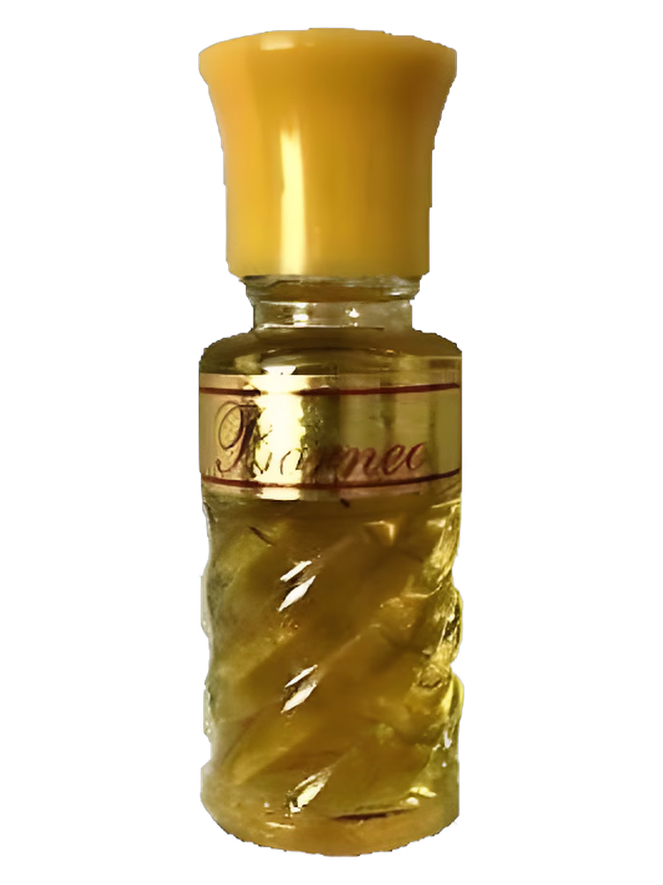 Dzintars Borneo