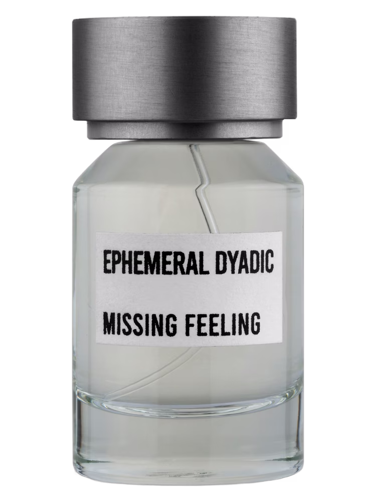 Ephemeral Dyadic Missing Feeling