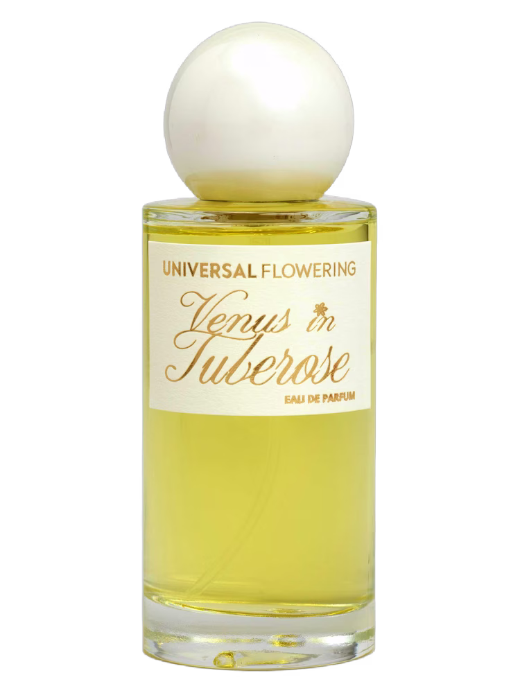 Universal Flowering Venus in Tuberose