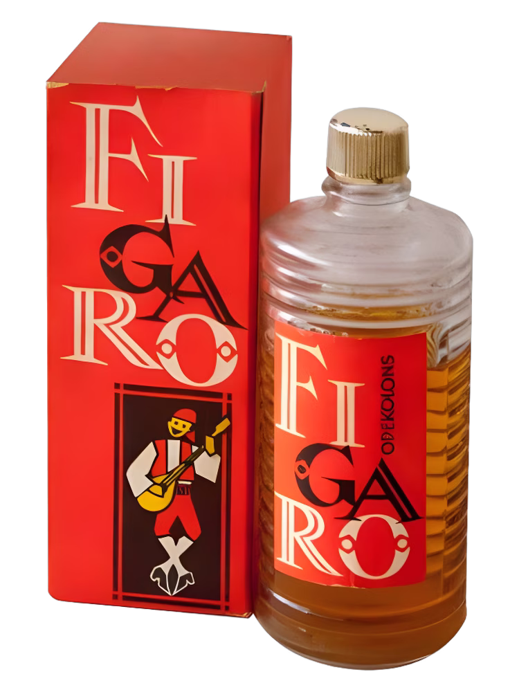 Dzintars Figaro