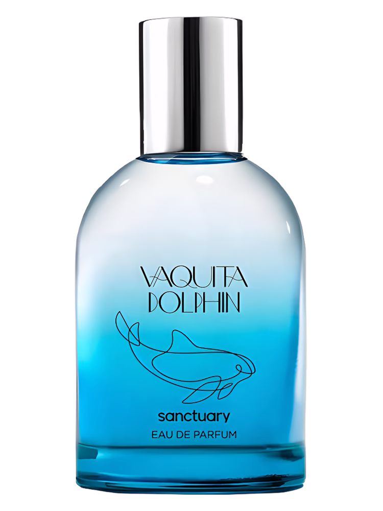 Sanctuary Vaquita Dolphin