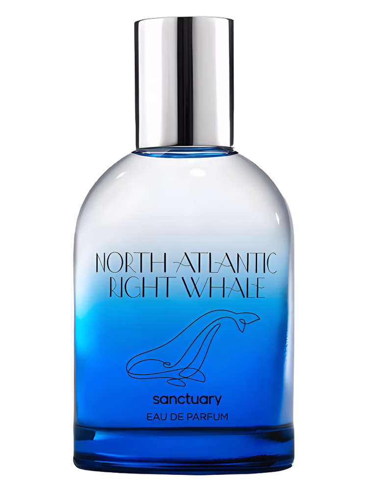 Sanctuary North Atlantic Right Whale