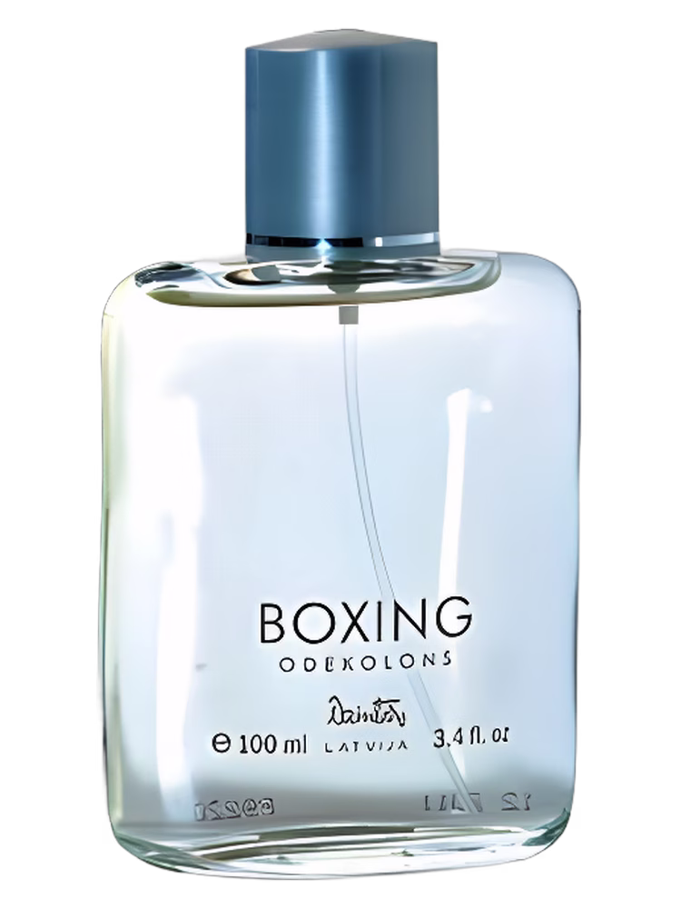 Dzintars Boxing