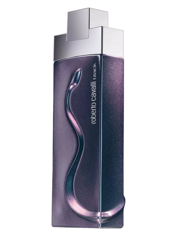 Roberto Cavalli Roberto Cavalli Black