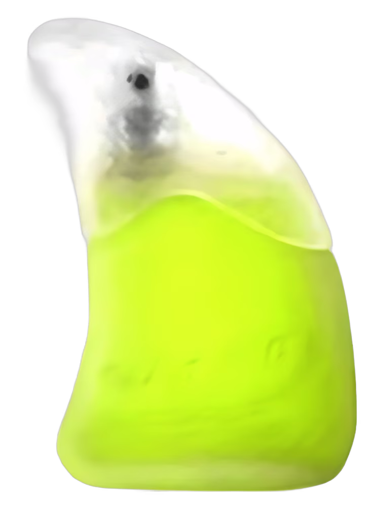 Anucci Wave