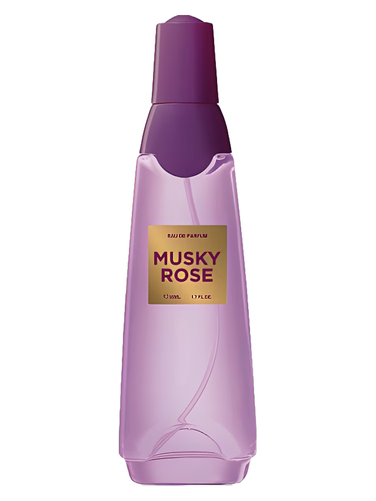 Ascania Musky Rose