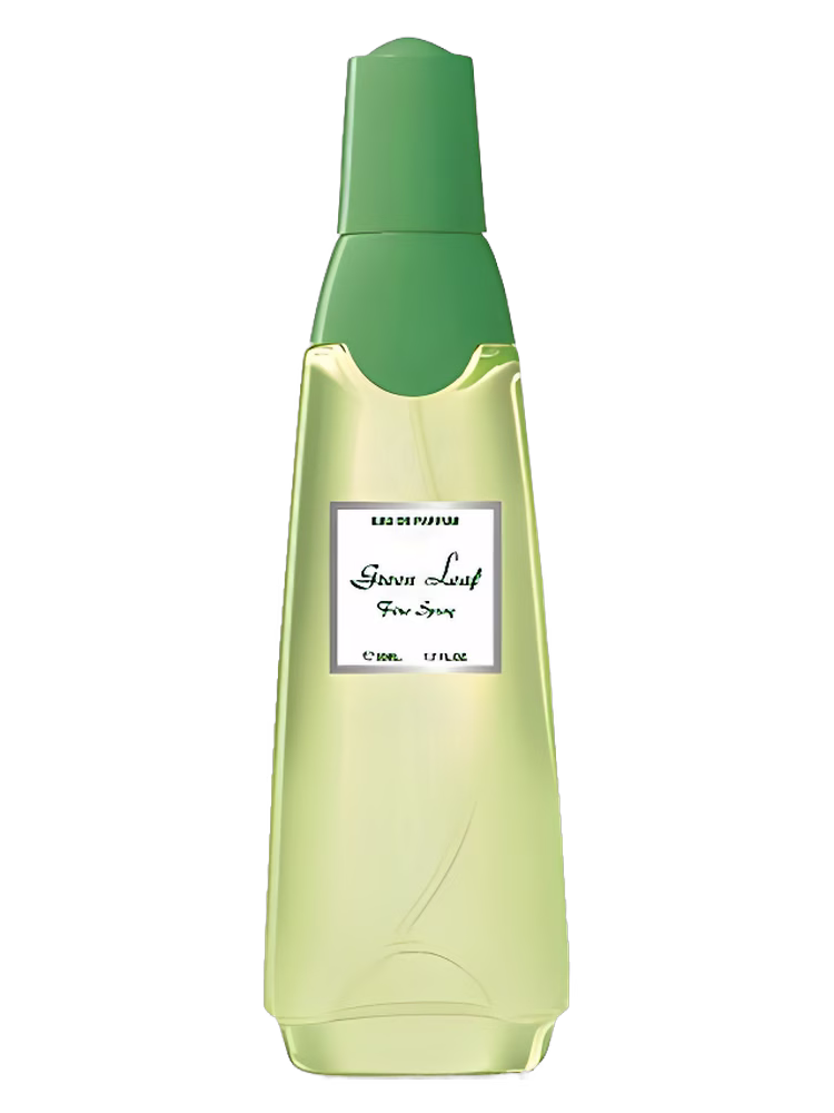 Ascania Green Leaf Fine Spray