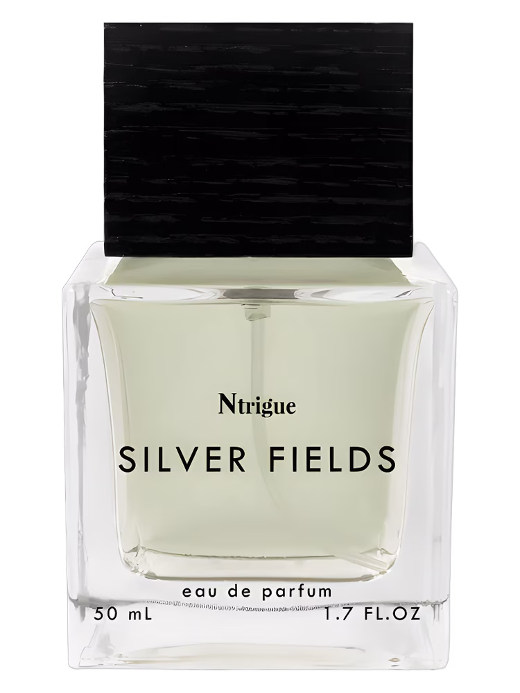 Ntrigue Silver Fields