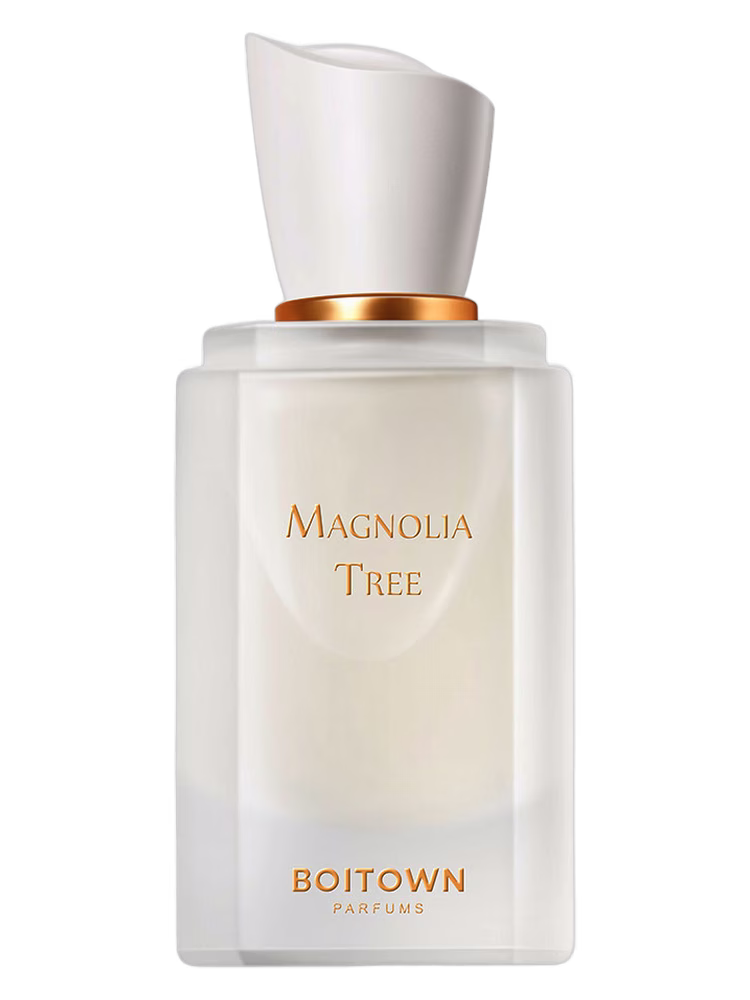 Boitown 冰希黎 Magnolia Tree 一树玉兰