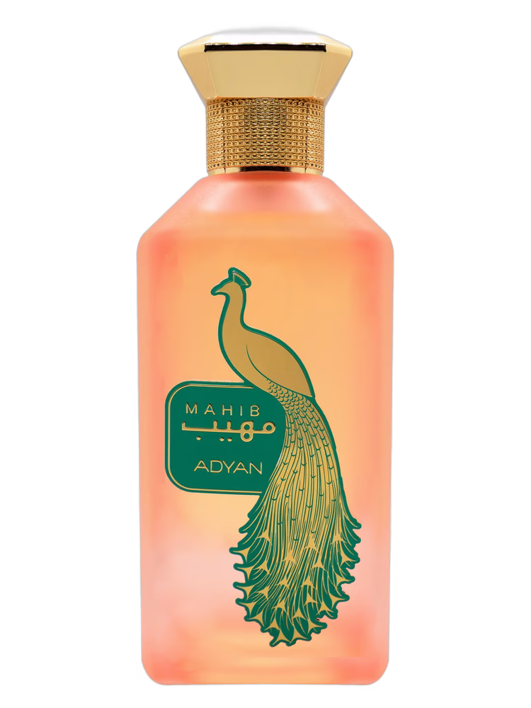 Adyan by Anfar Mahib