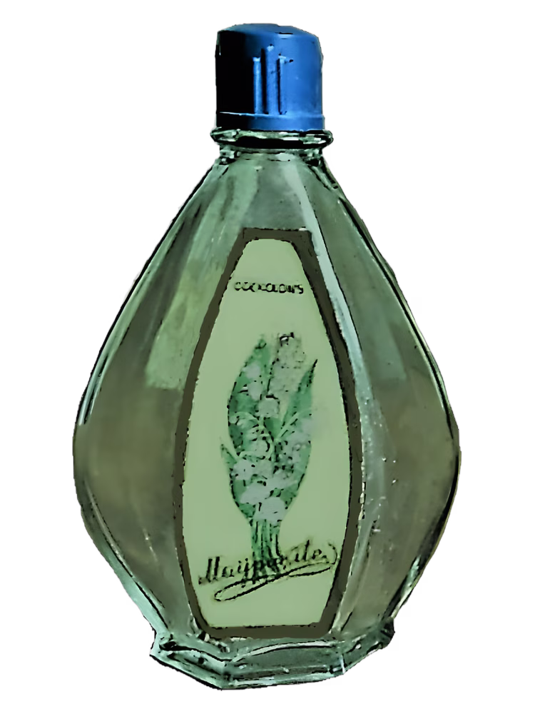 Dzintars Maijpuķīte (Майский ландыш)