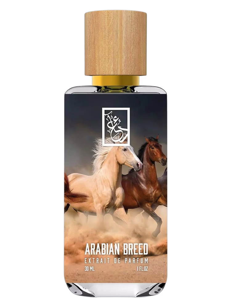 The Dua Brand Arabian Breed