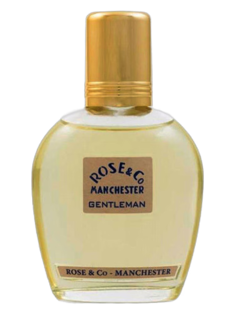 Rose &amp; Co Manchester Gentleman