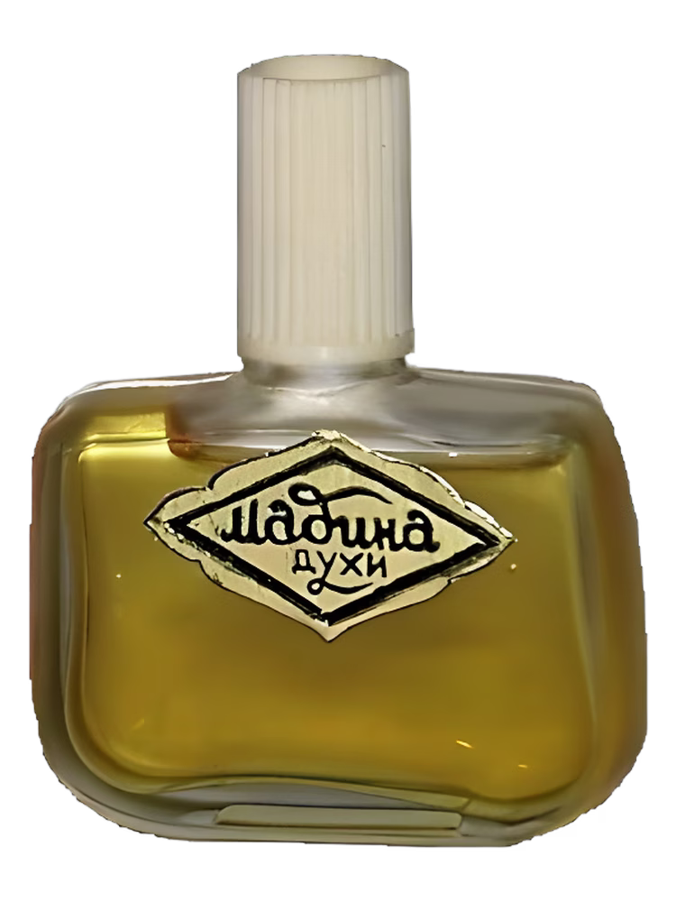 Сувенир (Краснодар) Мадина
