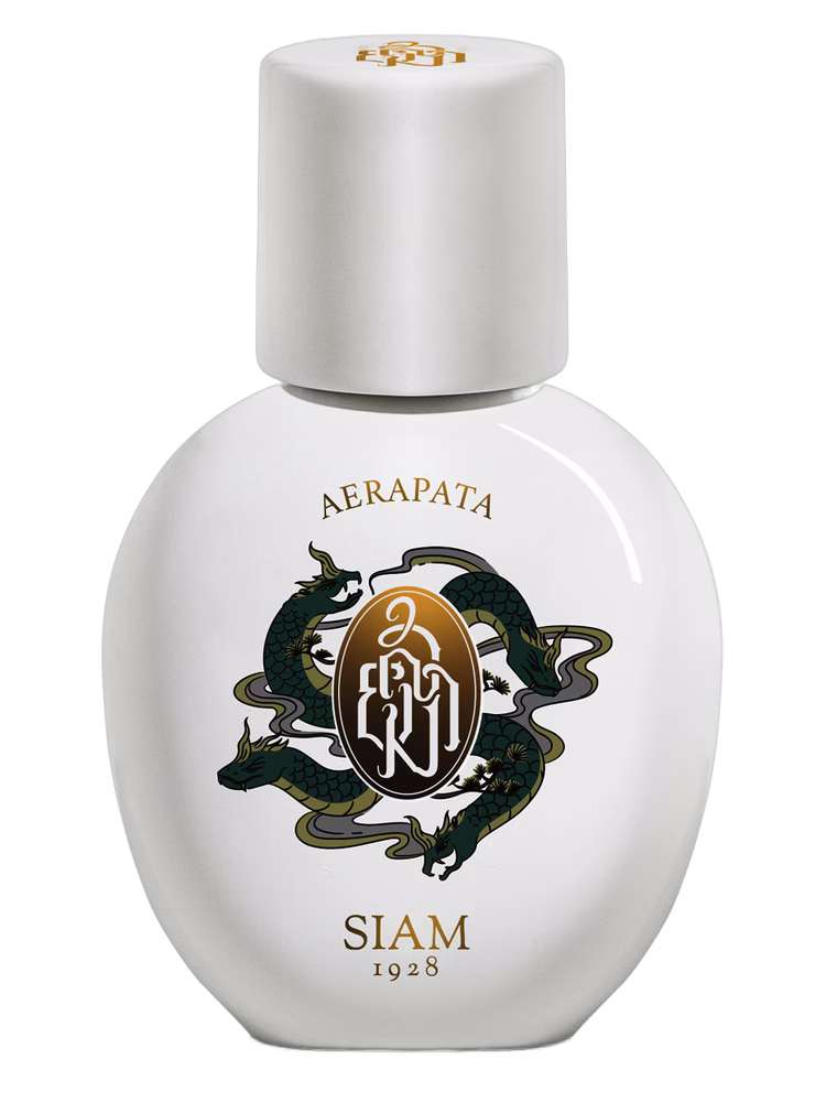 SIAM 1928 Aerapata