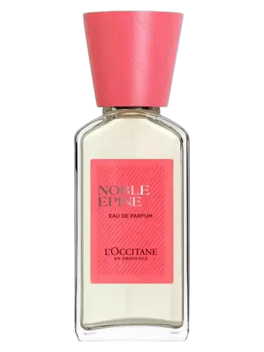 Noble Epine L'Occitane en Provence perfume - a fragrance for women