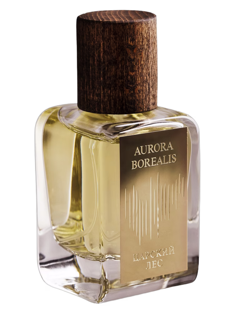 Aurora Borealis Царский лес — Tsar's Forest