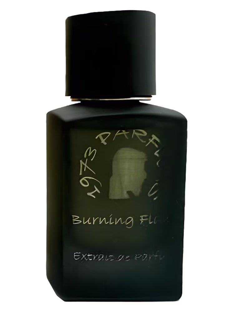1973 Burning Flame
