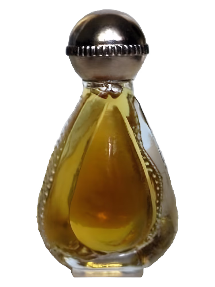 Сувенир (Краснодар) Экзерсис
