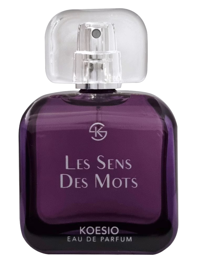 Koesio Les Sens des Mots