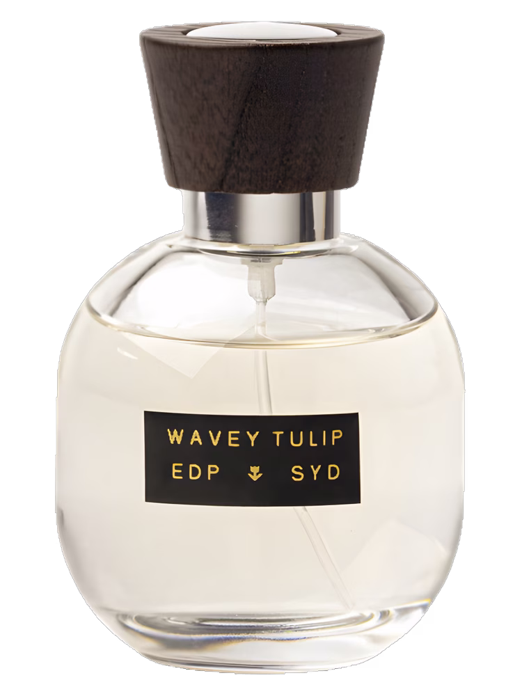 SYD Botanica Wavey Tulip