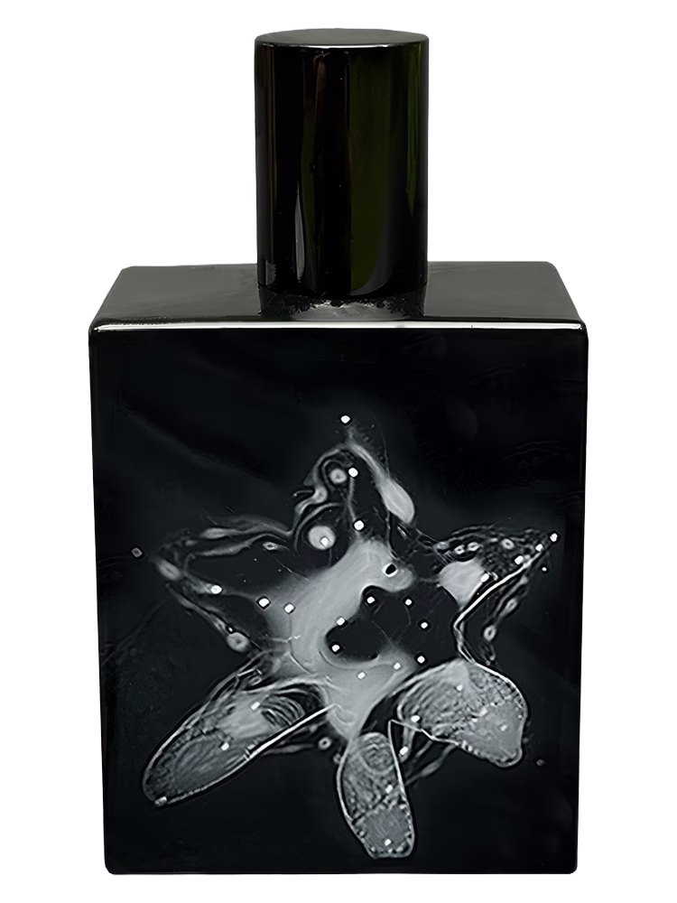 Space Fluid Narcis Nocturne