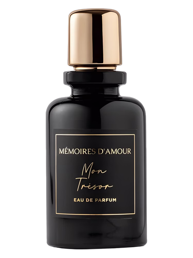 Mémoires D'amour Mon Tresor